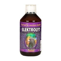 Elektrolyt H 0,5L